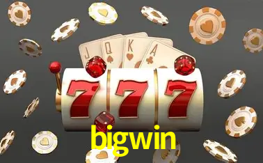 bigwin Rio de Janeiro - Bonus Terms