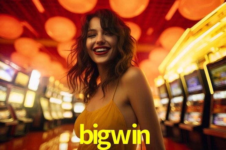 bigwin Salvador - Support